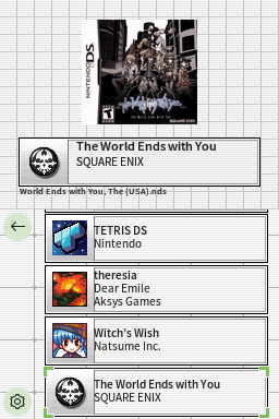 DS Firmware